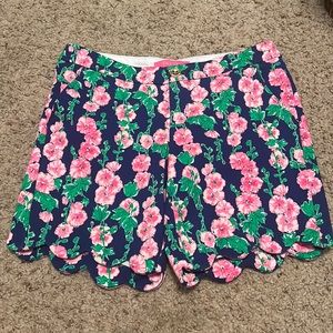 NWT DARCI KNIT SHORT